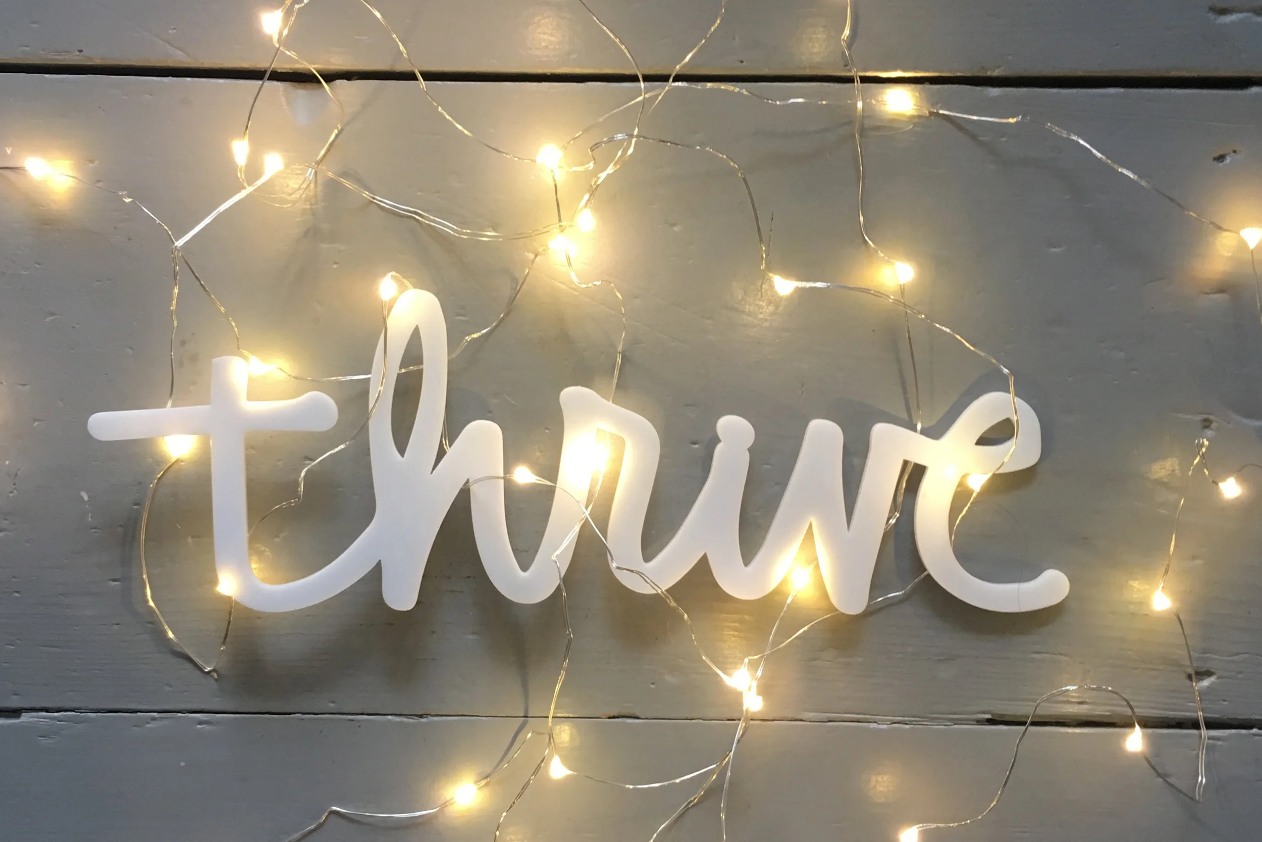 Review of Thrive :: My One Little Word 2017