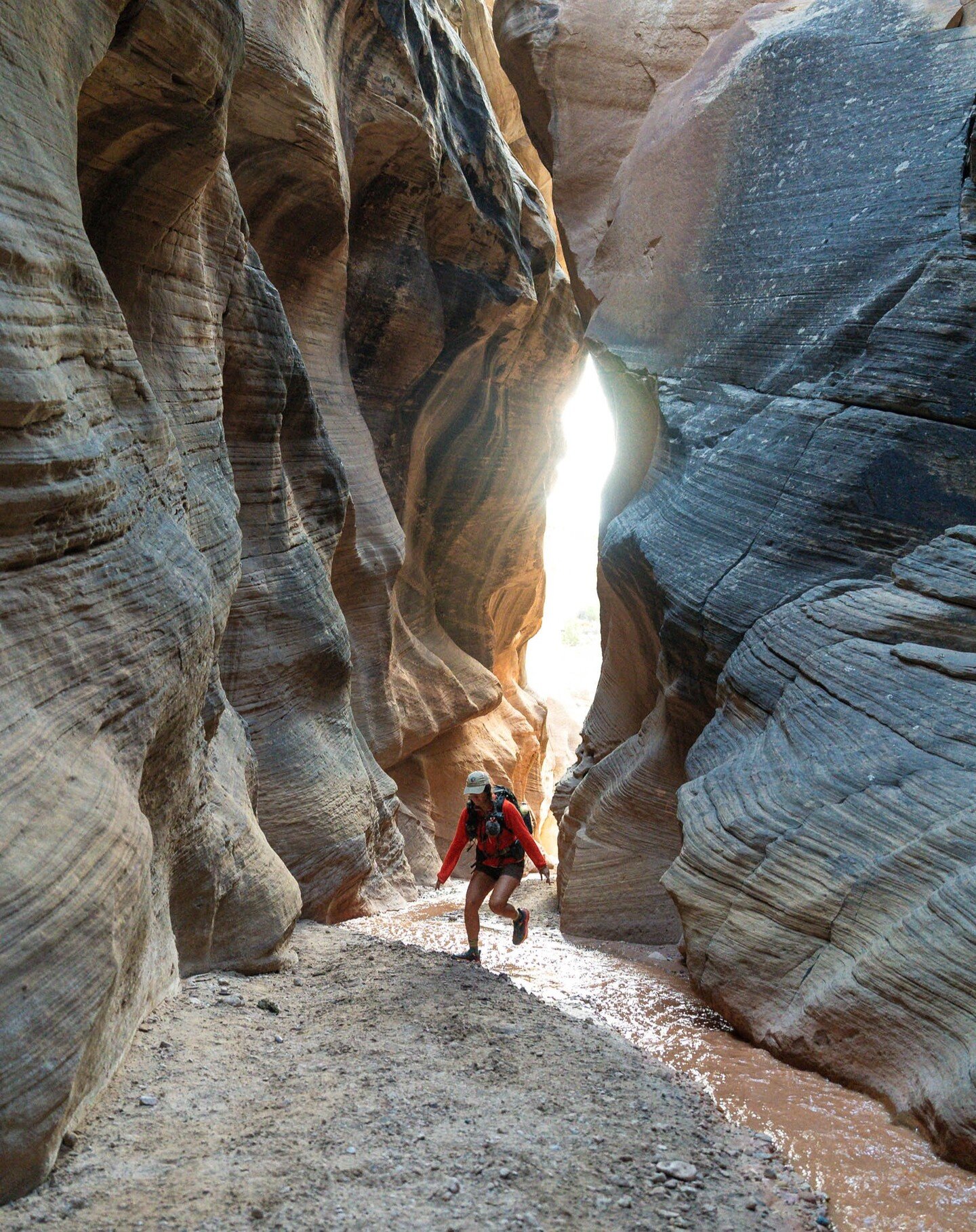 It feels misguided to share photos of the Hayduke, largely because they'll never encapsulate the hike-turned-survival feel this trail had... but here am I eating those words. 

I've been in pursuit of edit-cave-ing, and am yet to even look through th