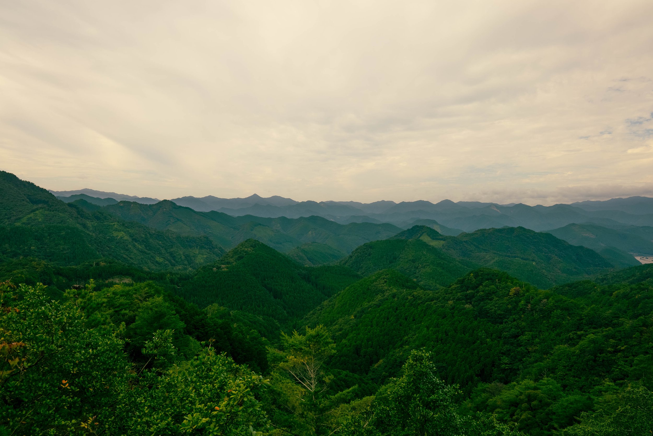 DSC02898.jpg