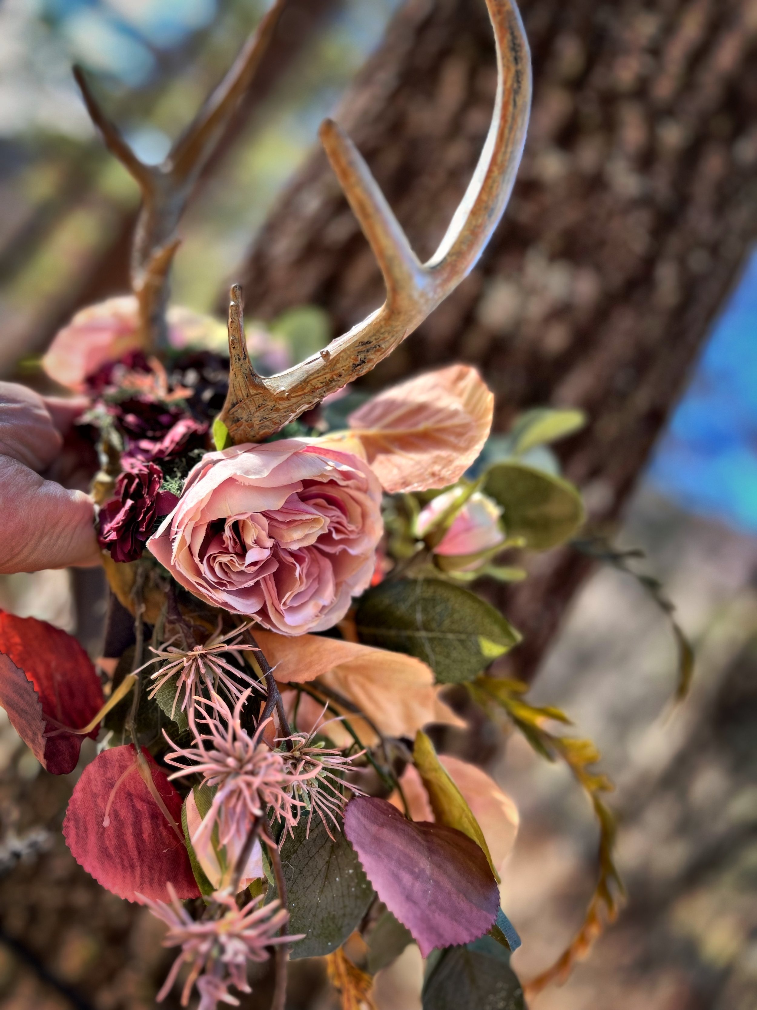 WOODLAND   🌿   CROWNS