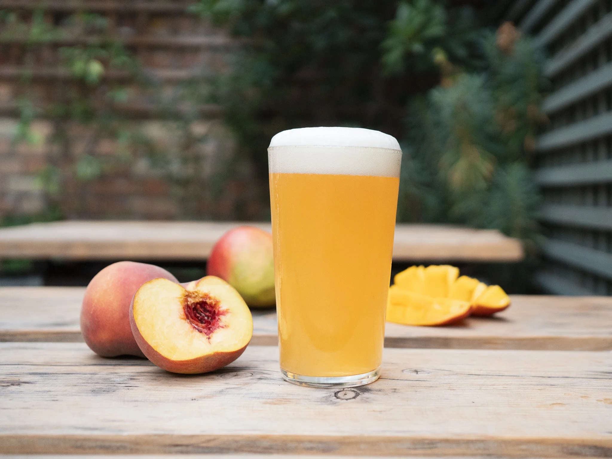 FRUITOPOLIS Product Photo Can + Beer August 19, 2026-2-2.jpg