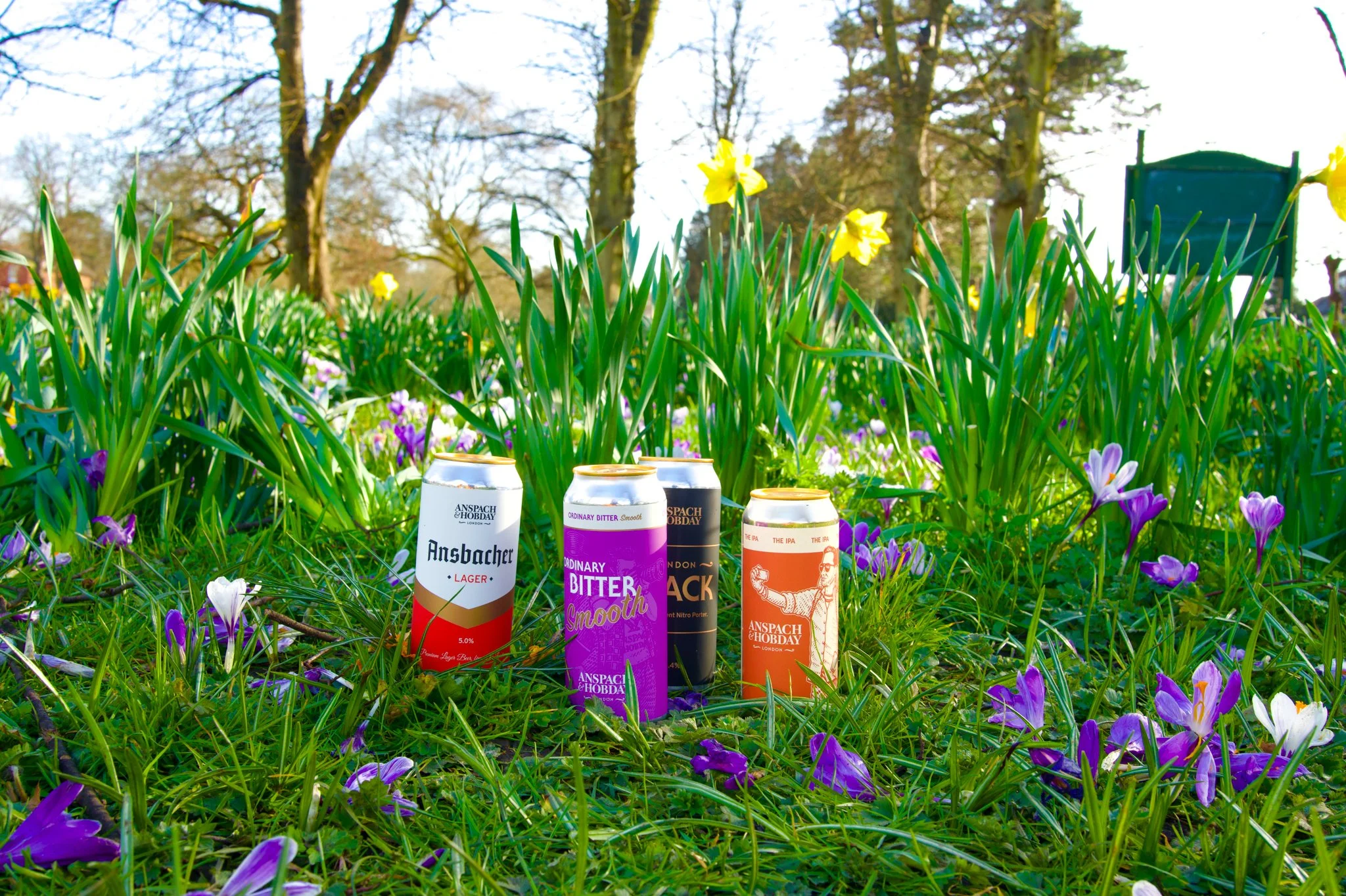Cans in the garden.jpg