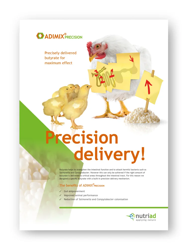 GRAFIMAX-MEDIA-Agrimarketing-Nutriad-feed additives-01.jpg