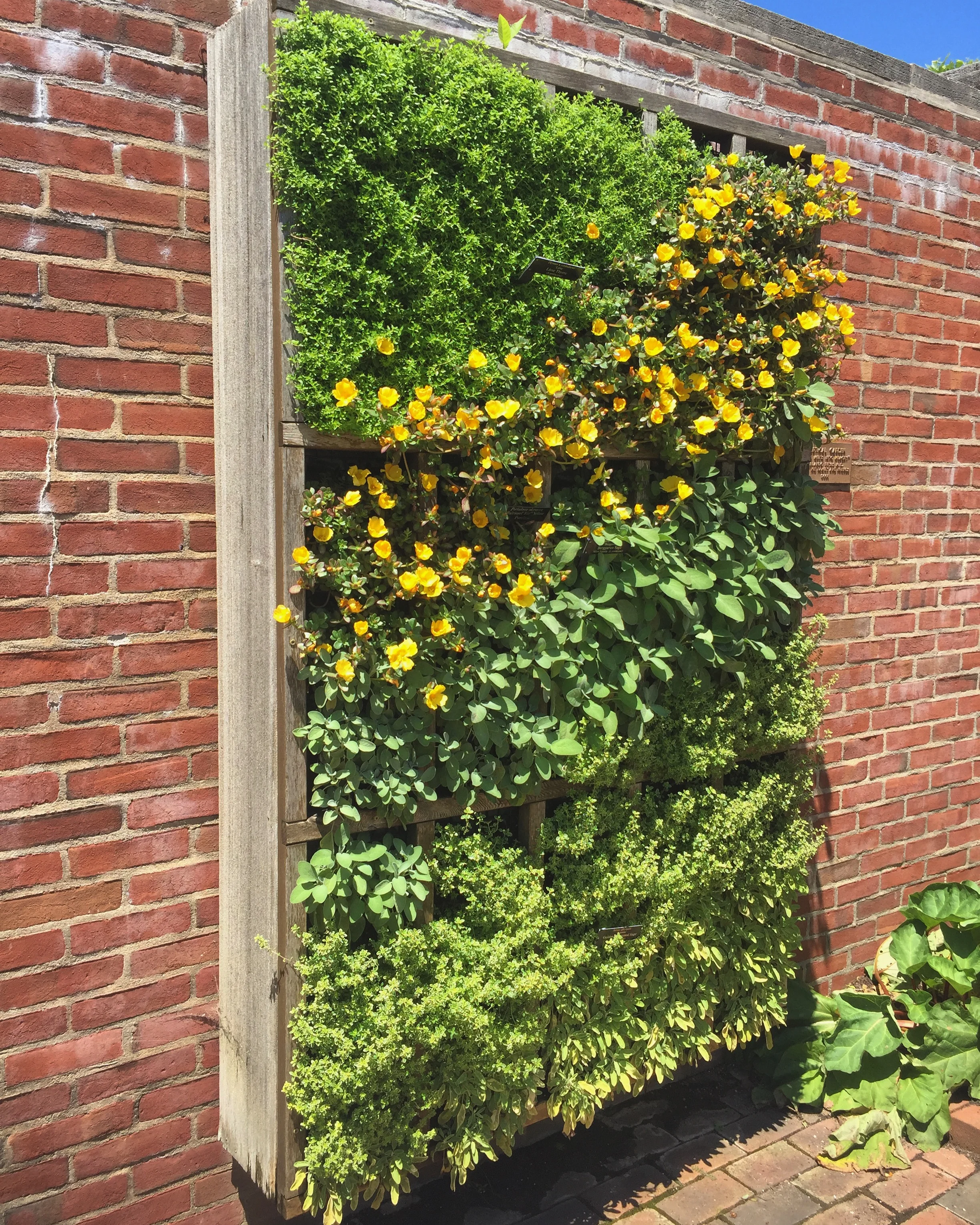 Wait, What's Sustainability?