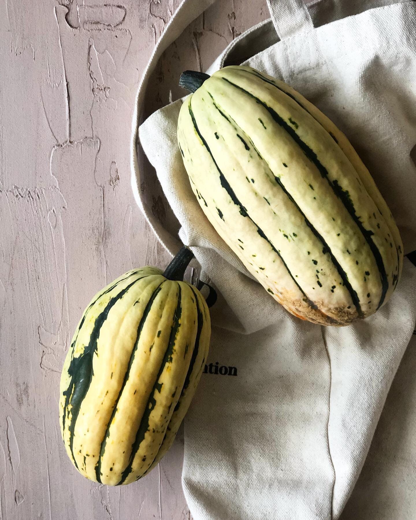 Delicata squash recipe coming soon✨
Meanwhile, go read my latest article ~5 Steps for Packing a Sustainable Lunch~ on the blog now! 🌱
.
.
.
.
#sustainedkitchen #sustainablelunchbox #lunchbox #lunchboxideas #sustainable #zerowaste #bentoboxlunch #reu