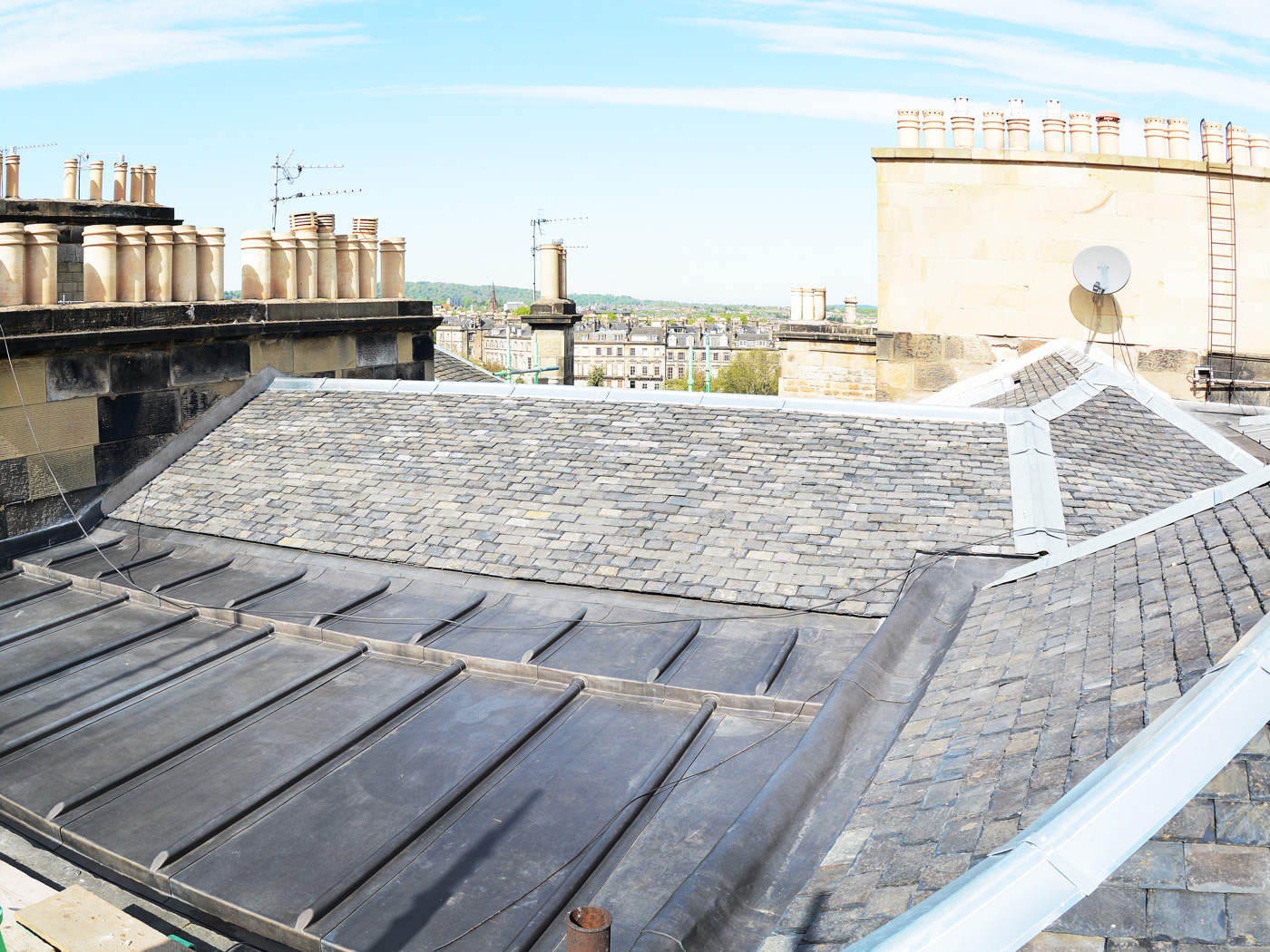 case-queens-image5.jpg