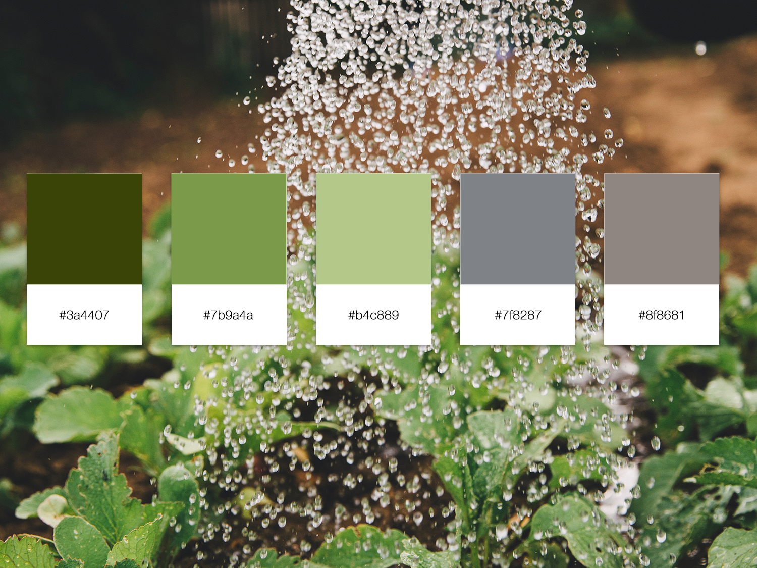 Swatches.png