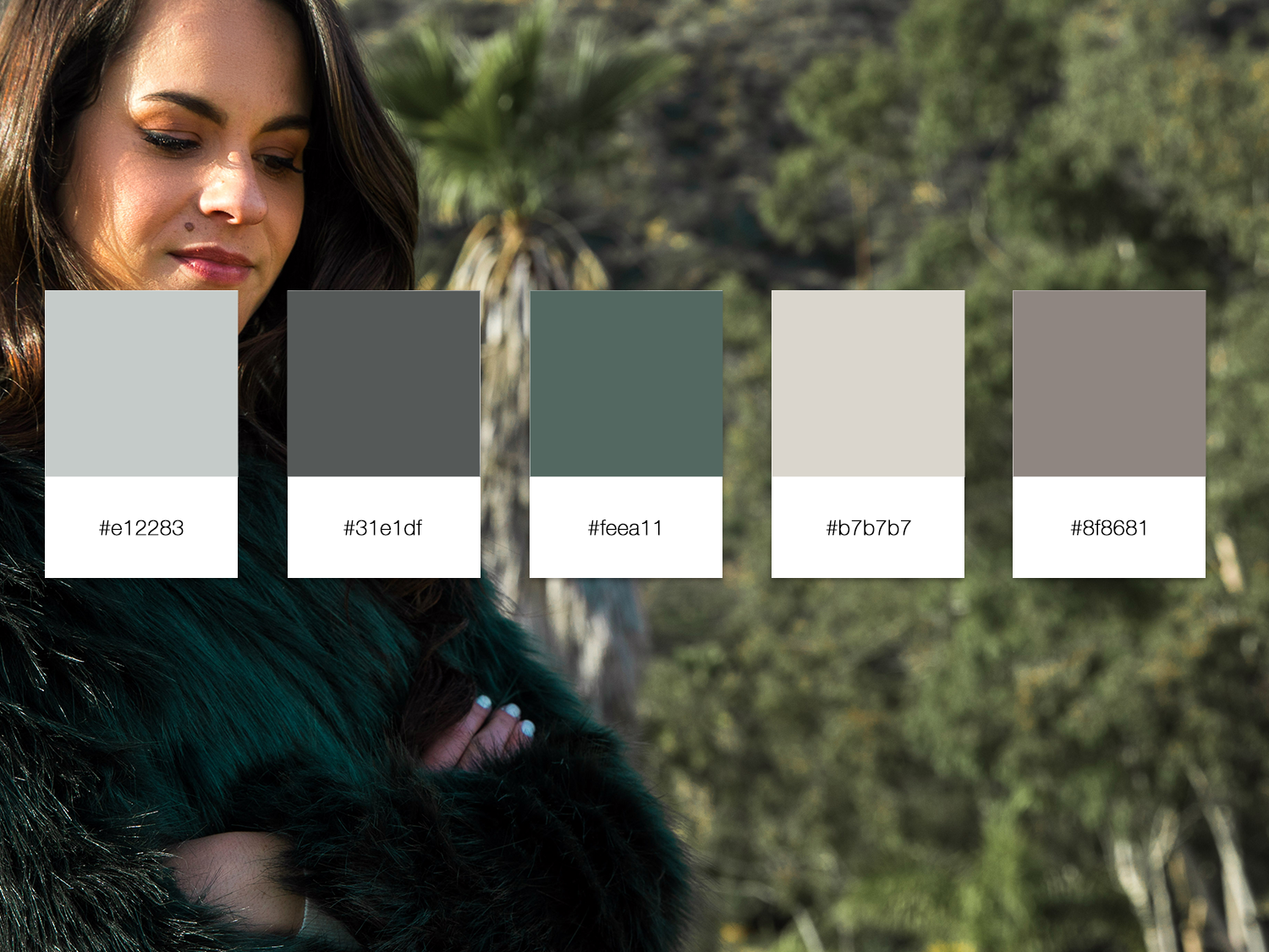 Swatches.png