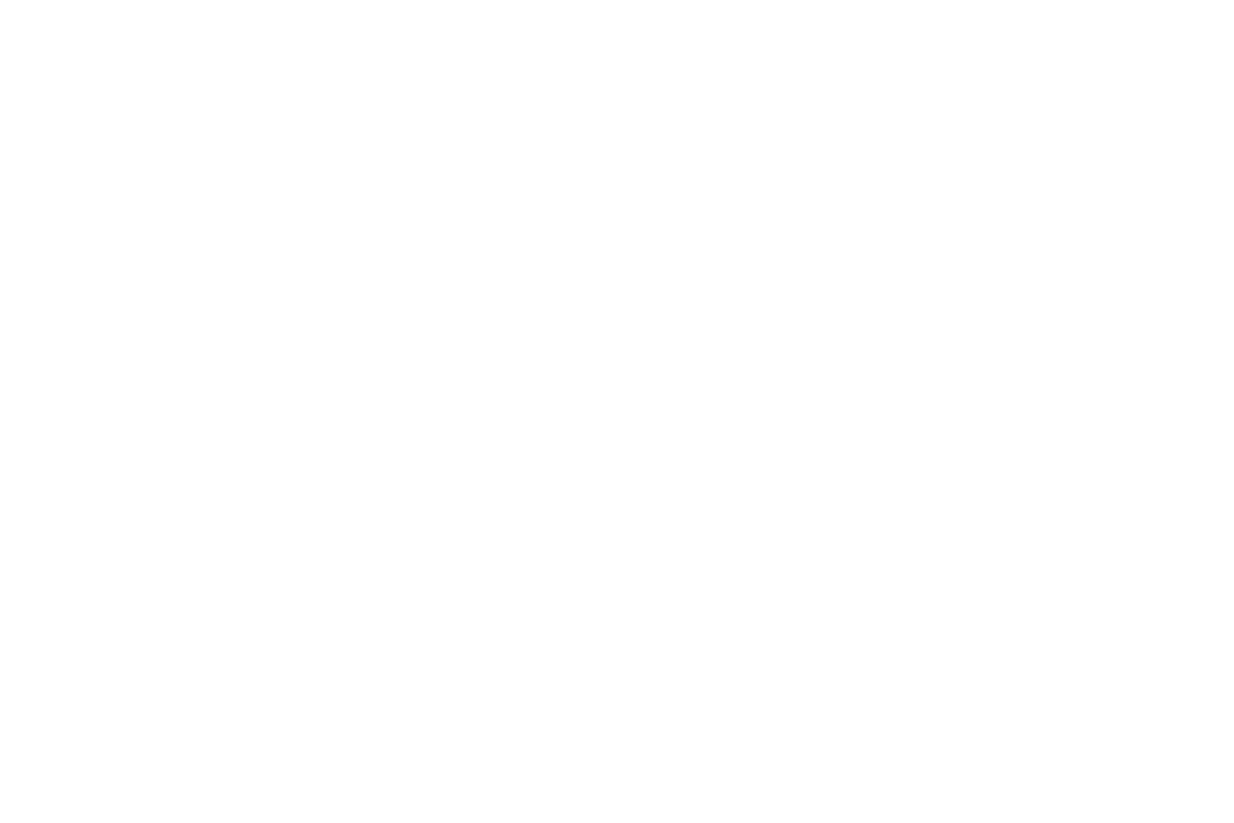 Logo 6 White.png