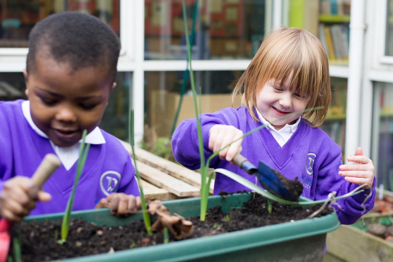 Primary One Degree Academy primary-one-degree-academy