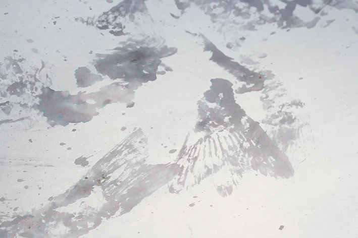 goldfish print detail01.jpg
