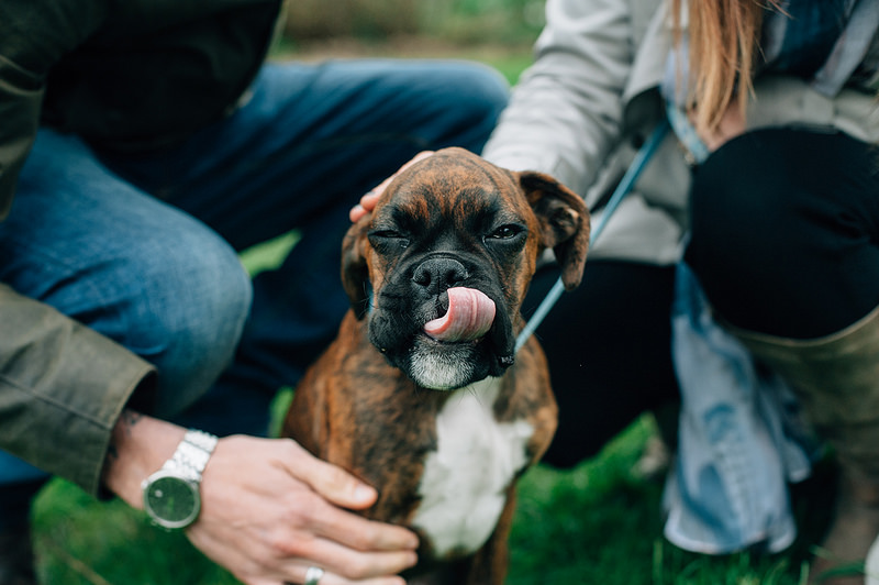 cotswolds engagement shoot.jpg