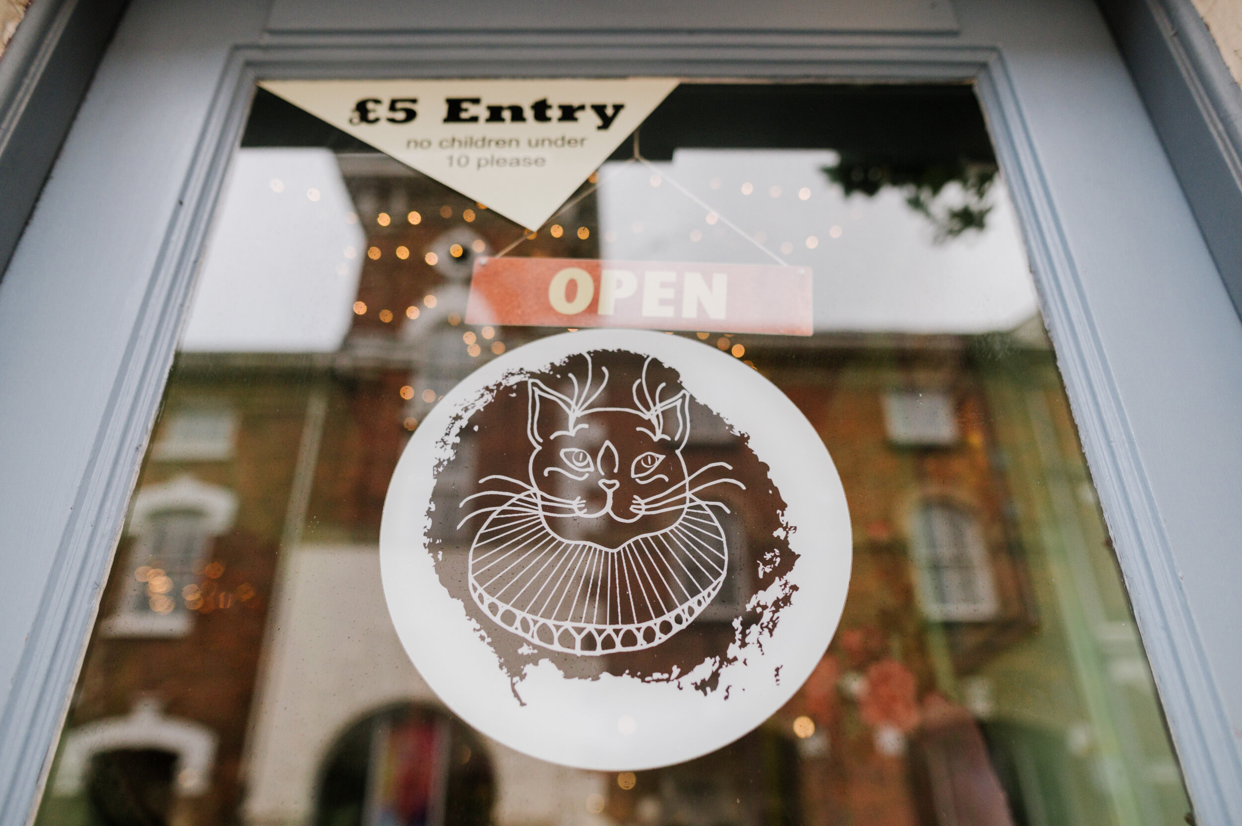cat cafe engagement photos Stratford upon avon