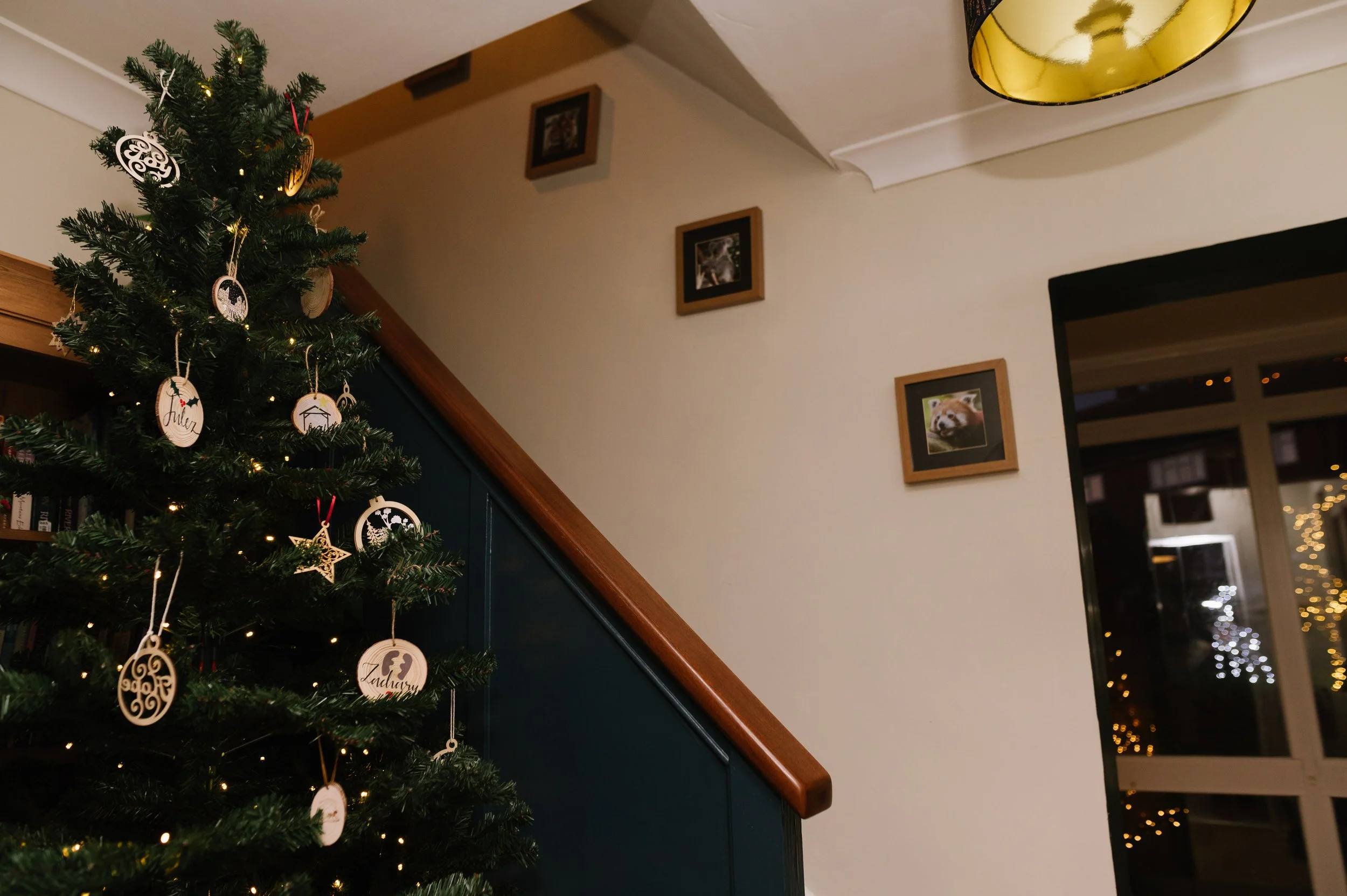 Family Christmas Photos