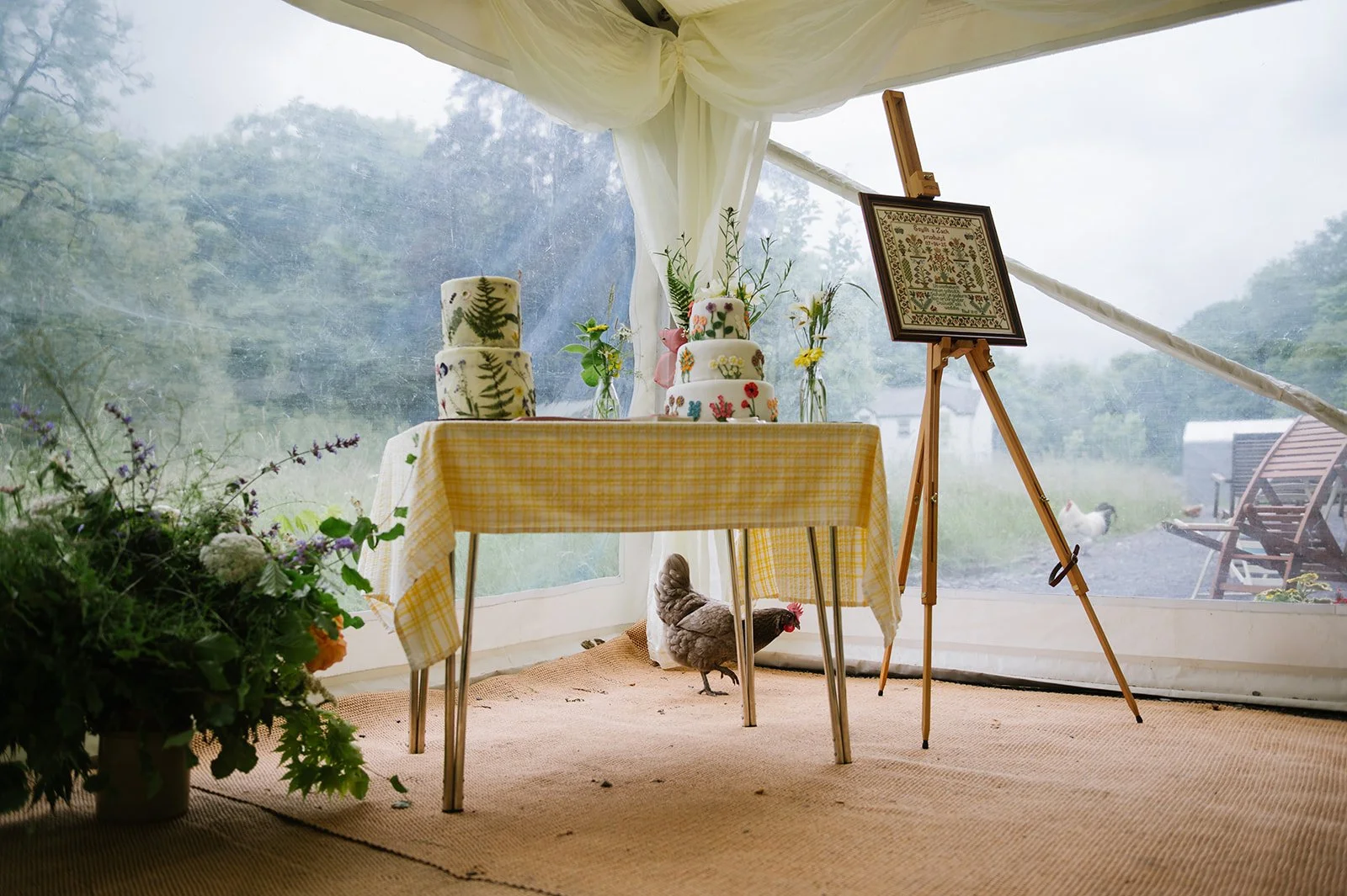 52 caernarfon wedding photographer.jpg