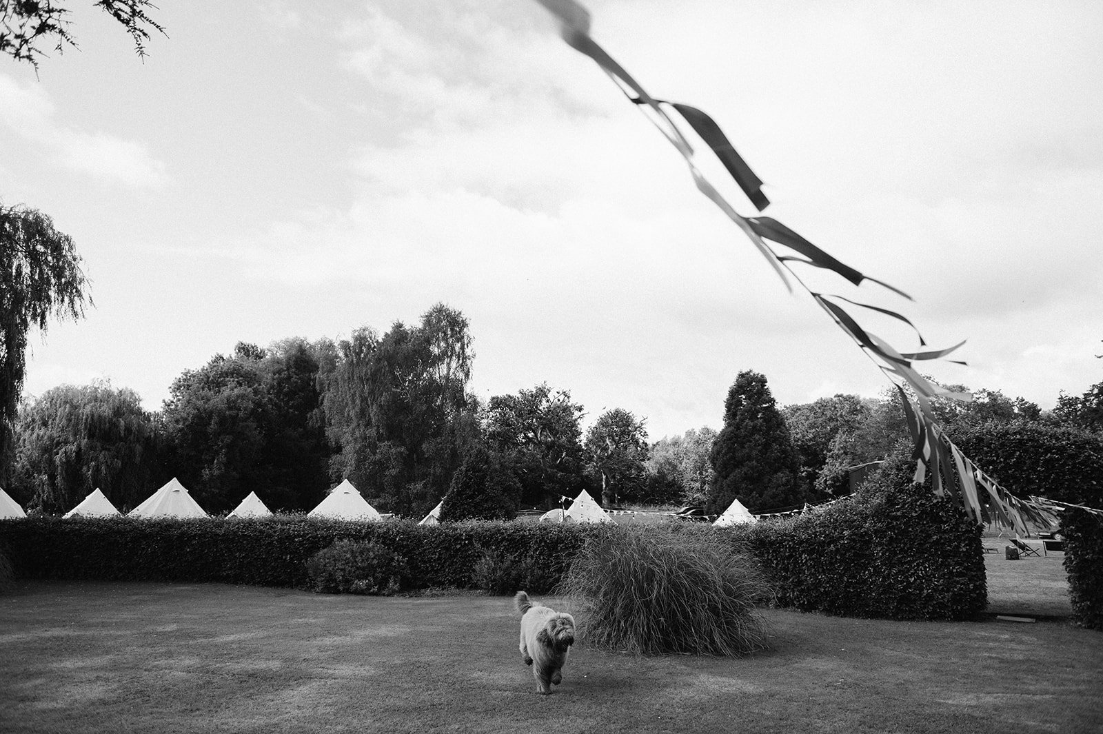 00062 Stoke Lacy Herefordshire Wedding Photographer.jpg