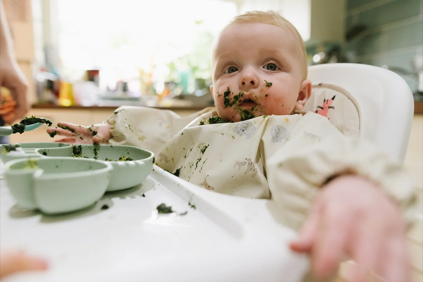 Squishy and squirmy and oh so cute. Session 2 of Gorgeous George is up on our blog now. We love this little guy. Link in our bio +stories if you&rsquo;re a fan too. 

Having our One Year Package as an excuse to hang out with these guys and eat crisps