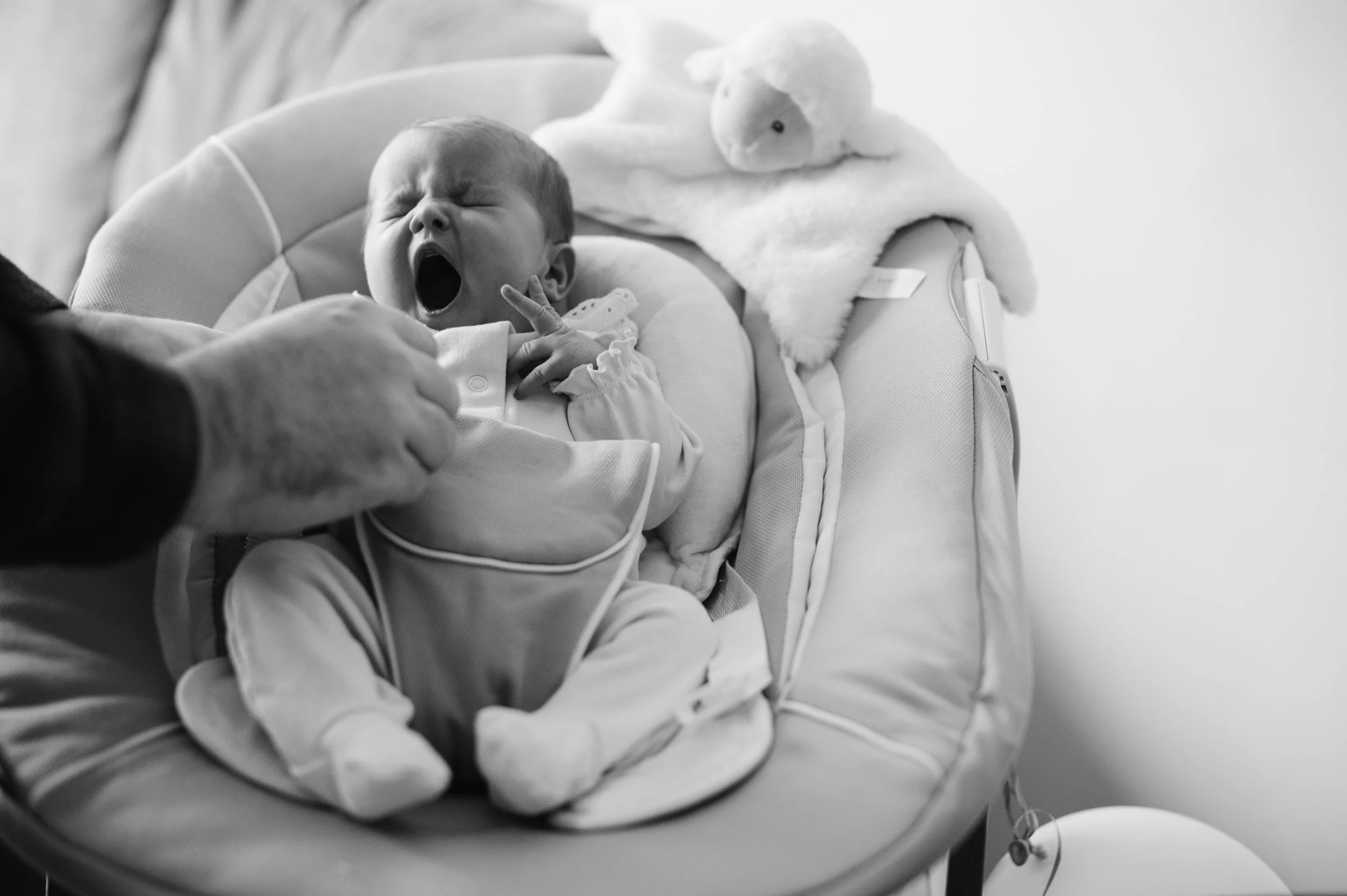 Rosie's Family photos- our One Year Package