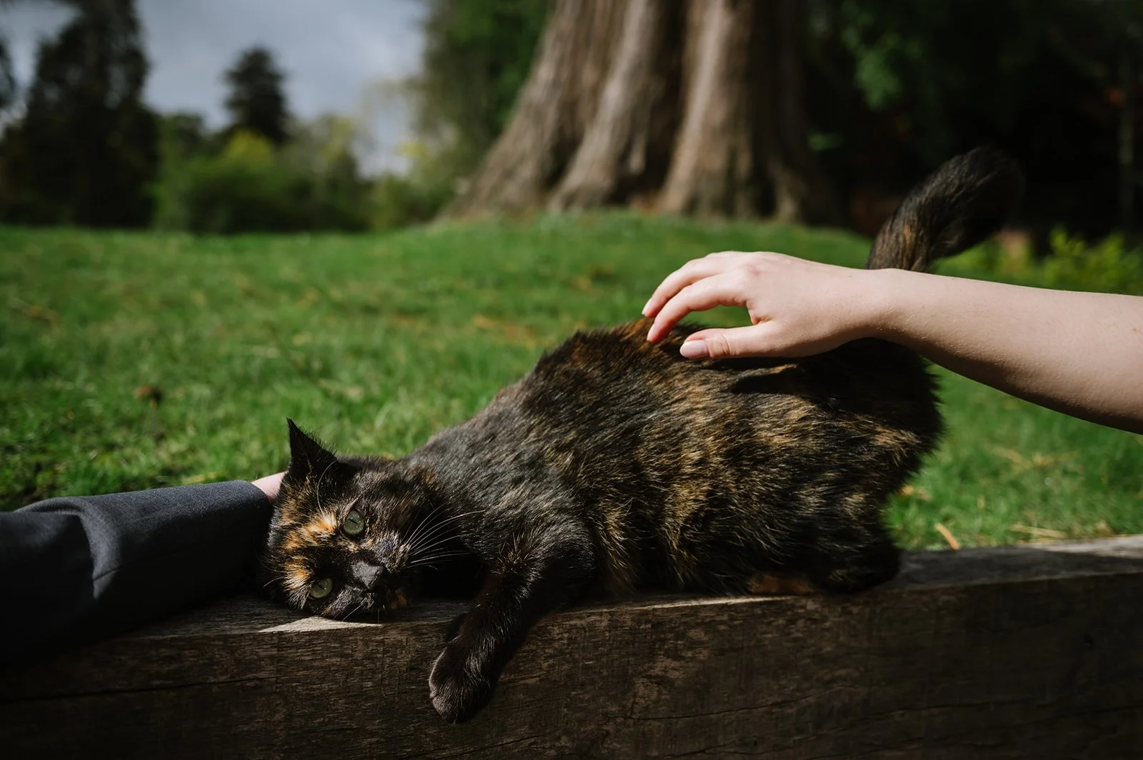 16 bredenbury court barns wedding photographer.jpg