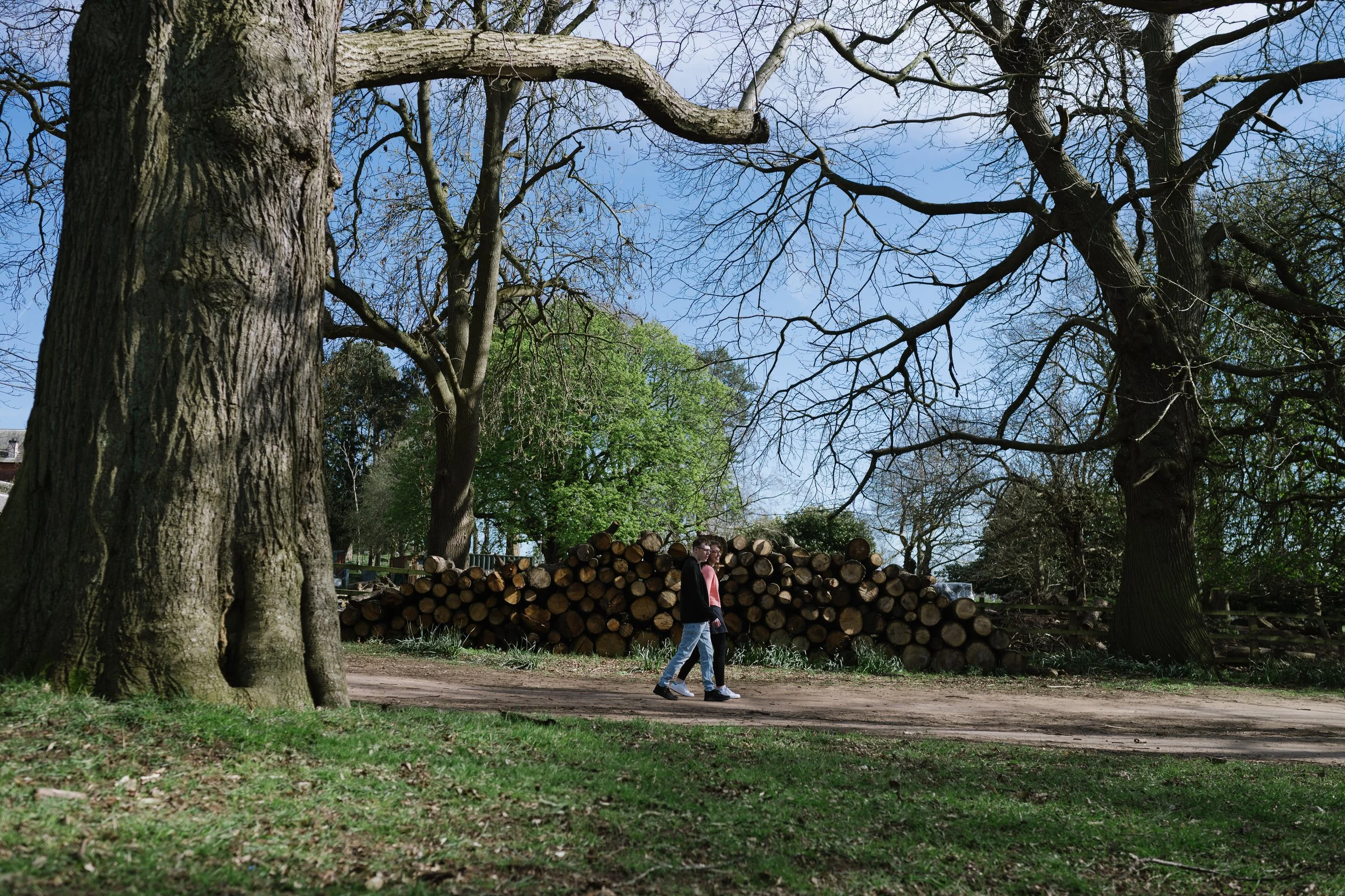Spring engagement photos at Wollaton Hall for Caroline and Dan