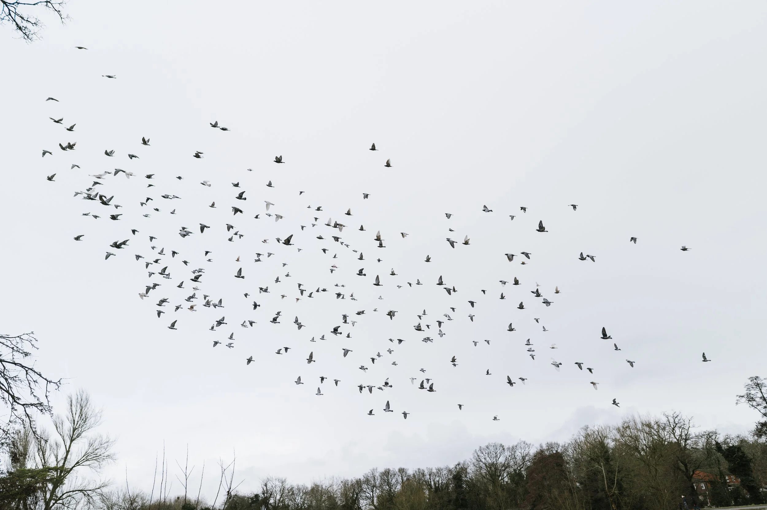 48 birmingham family photogrpher at home.jpg