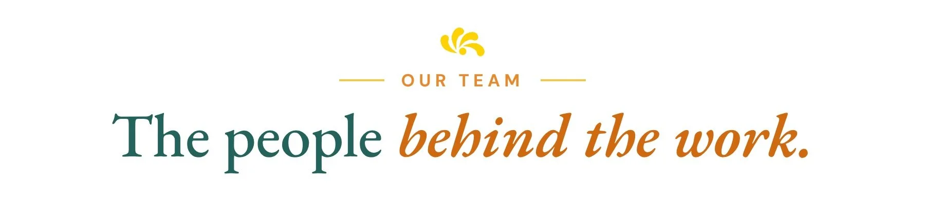 Our team: the people behind the work.