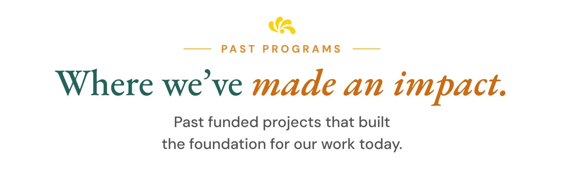 Past programs: funded projects that built the foundation for our work today.