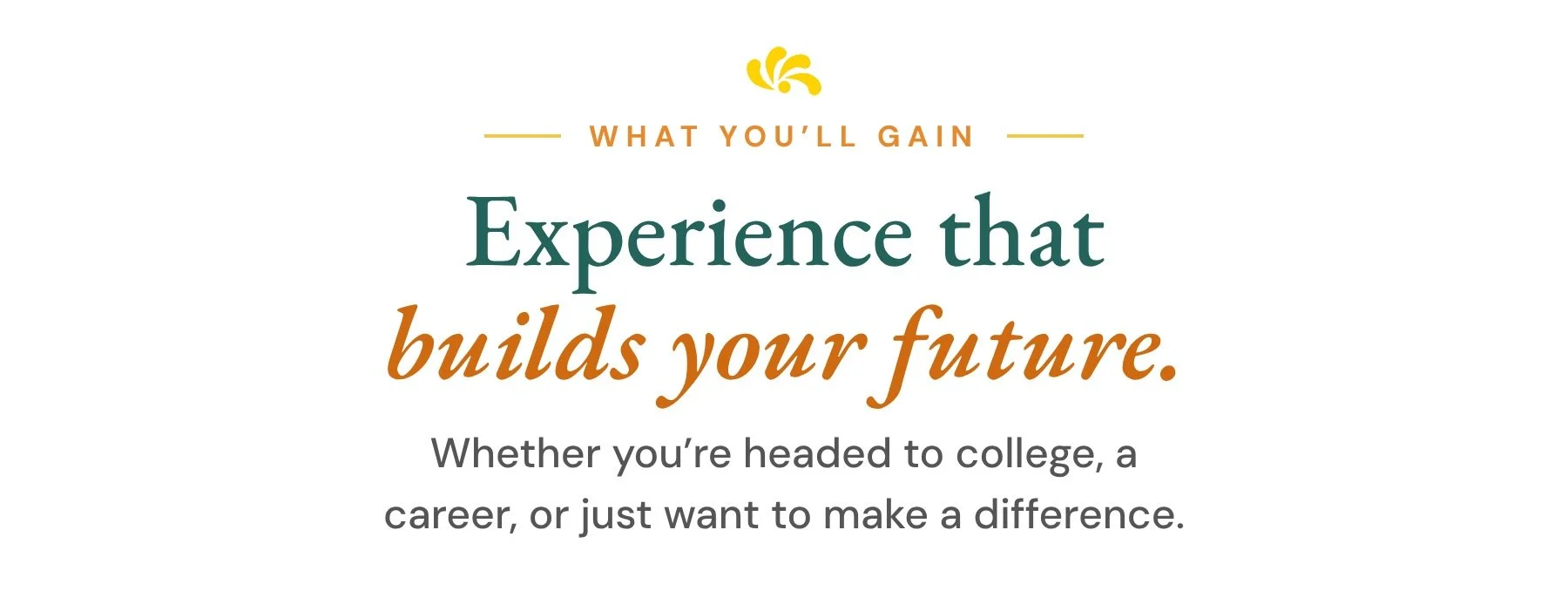 What you'll gain: experience that builds your future.