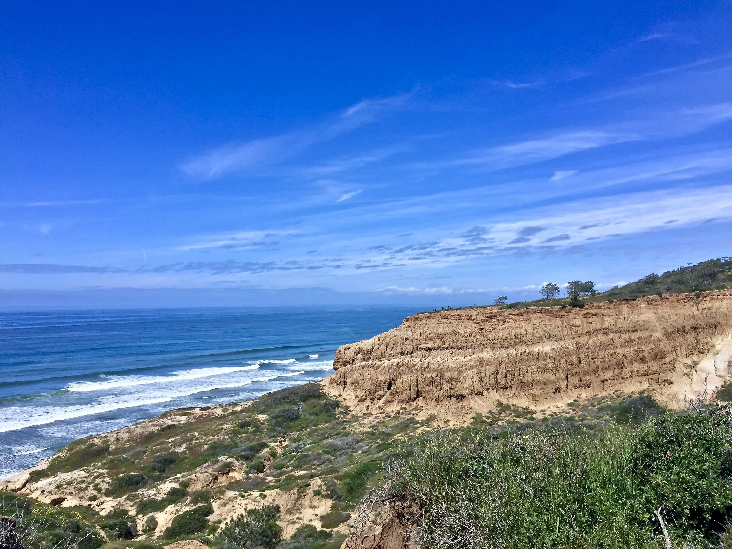 Torrey Pines State Natural Reserve in La Jolla, California
