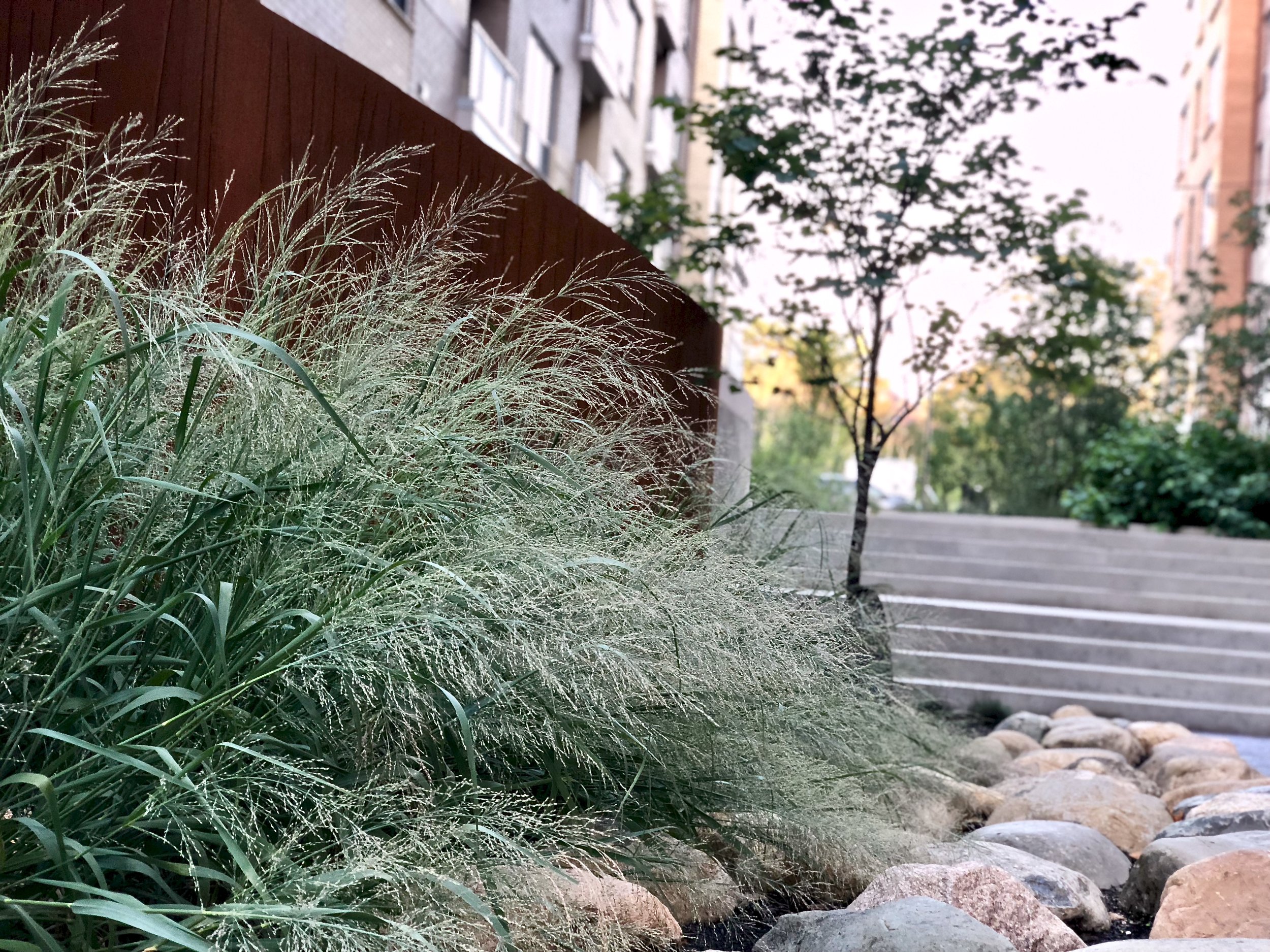 Walkway in Bridge Park, in Dublin, Ohio.