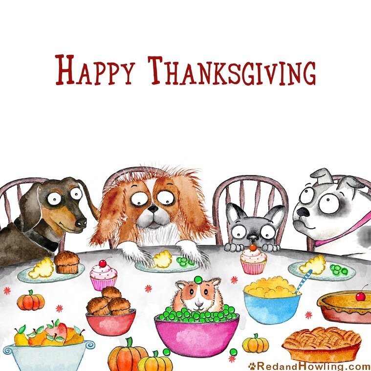 Happy Thanksgiving Day #petsitgirls #smyrnapetsitter #mabletonpetsitter #viningspetsitter #happythanksgivng