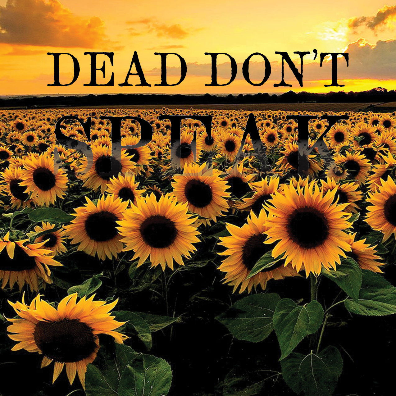 DDS artwork 041619.png