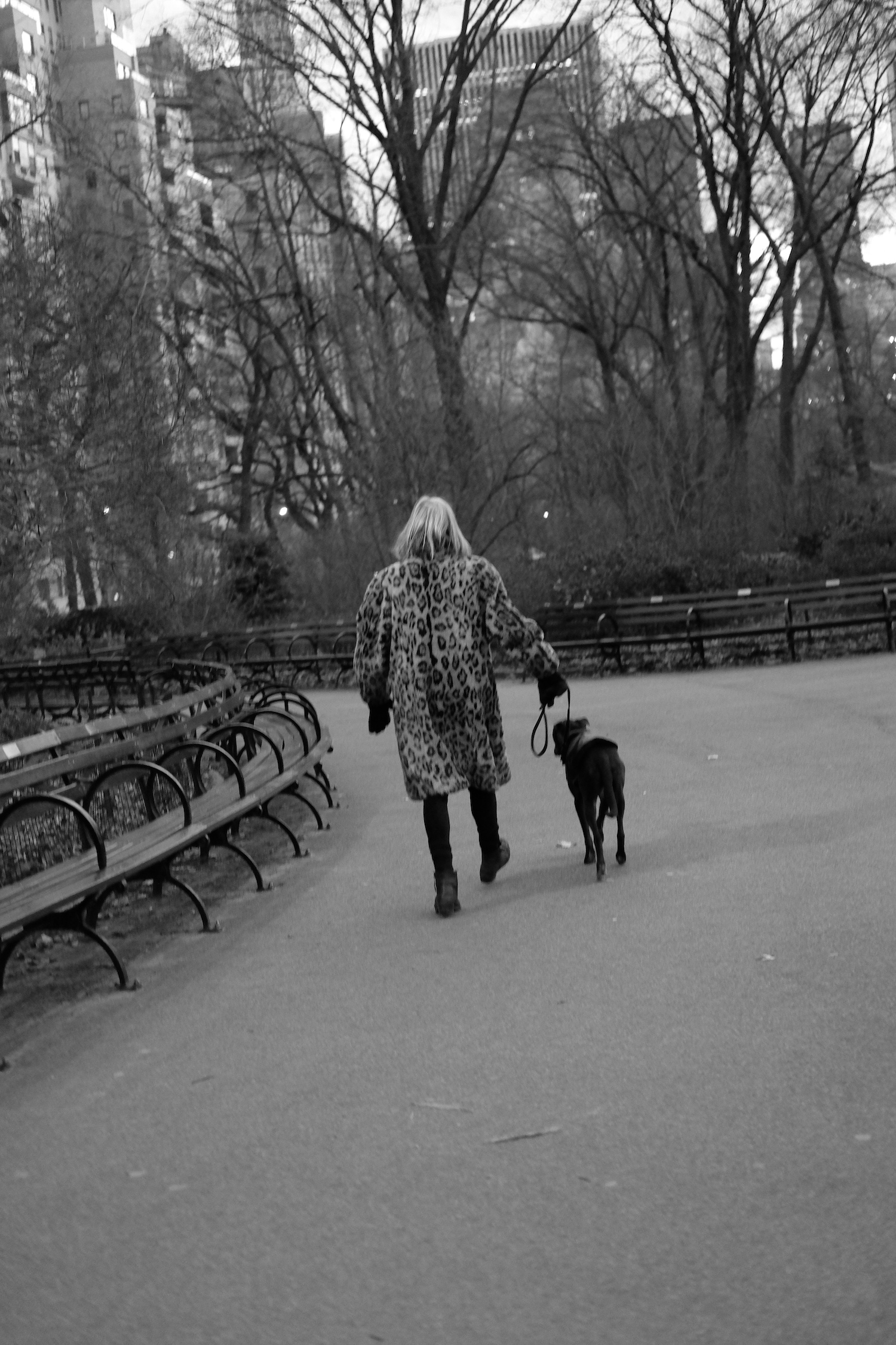 nyc_1.jpeg