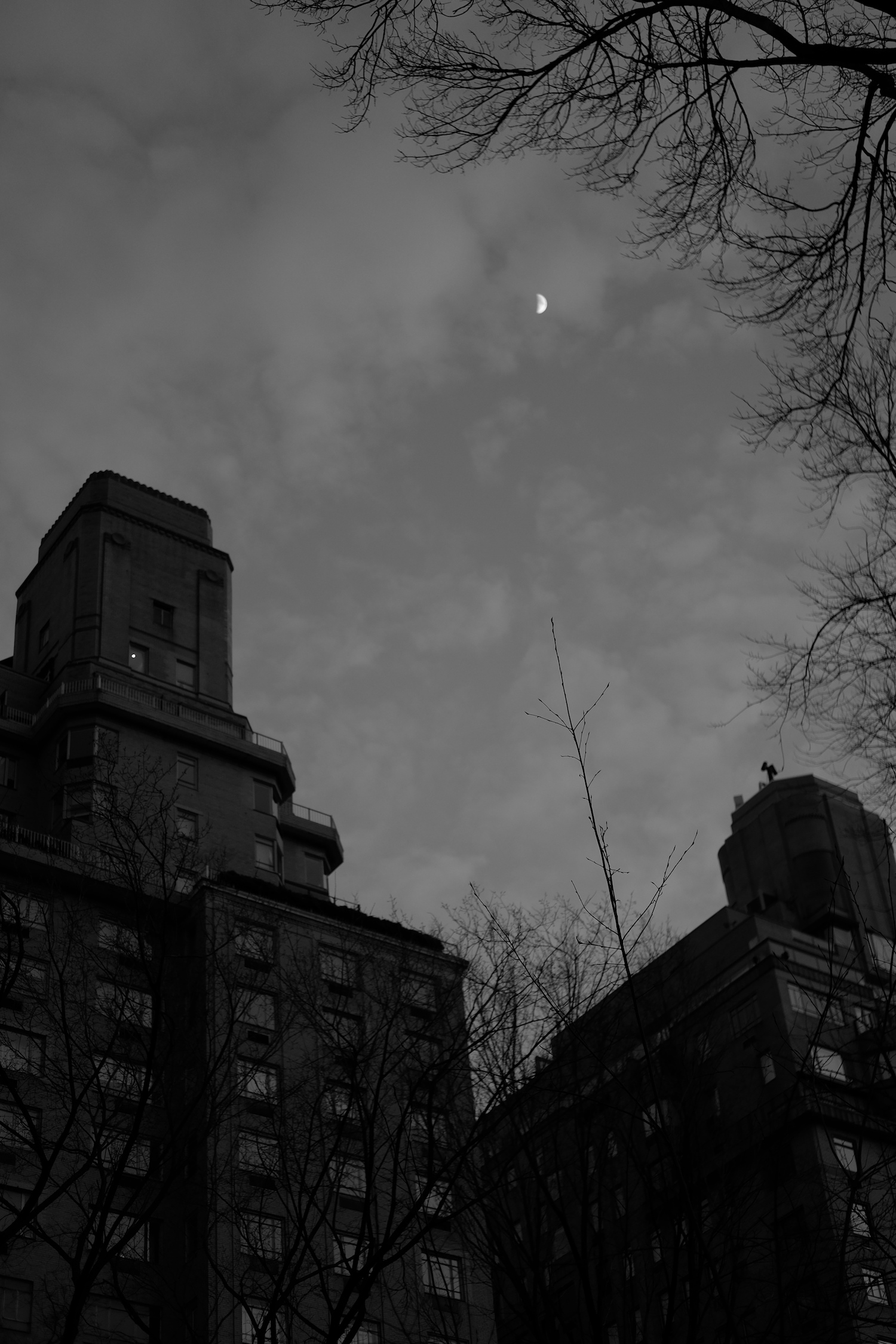 nyc13.jpeg