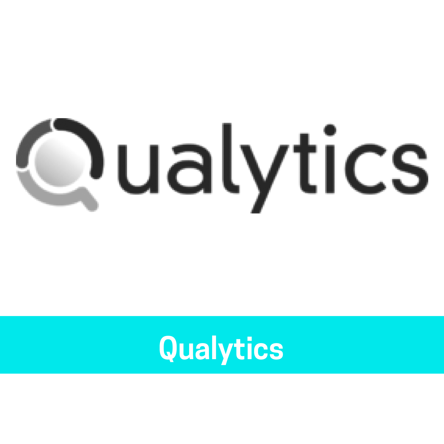 Qualytics