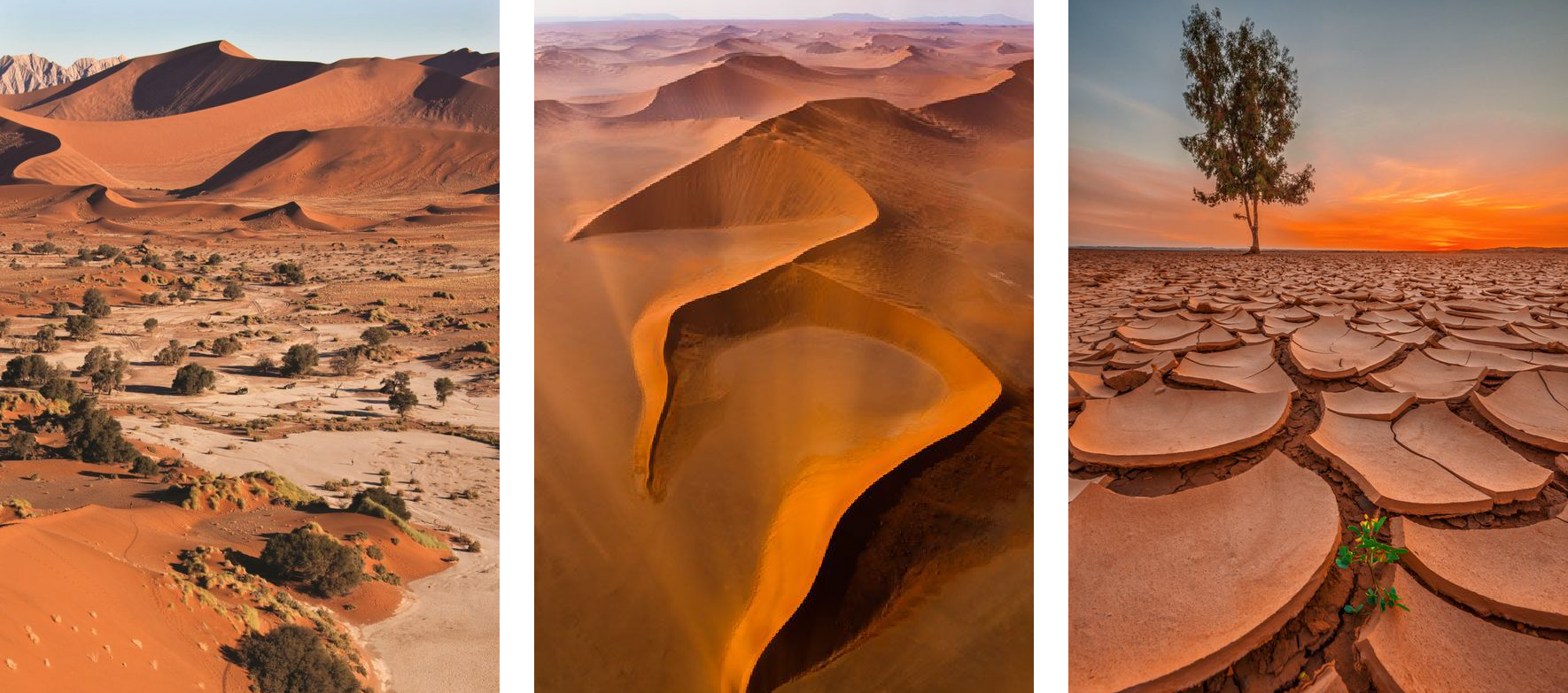 Namibia 2Artboard 1.png