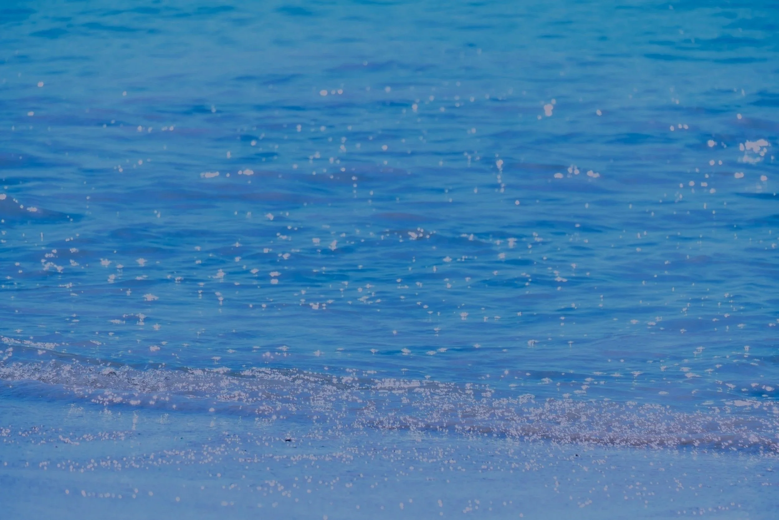 unsplash-image-zARUpHxOVrg.jpg
