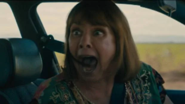 (Laurie Metcalf