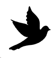 dove.png
