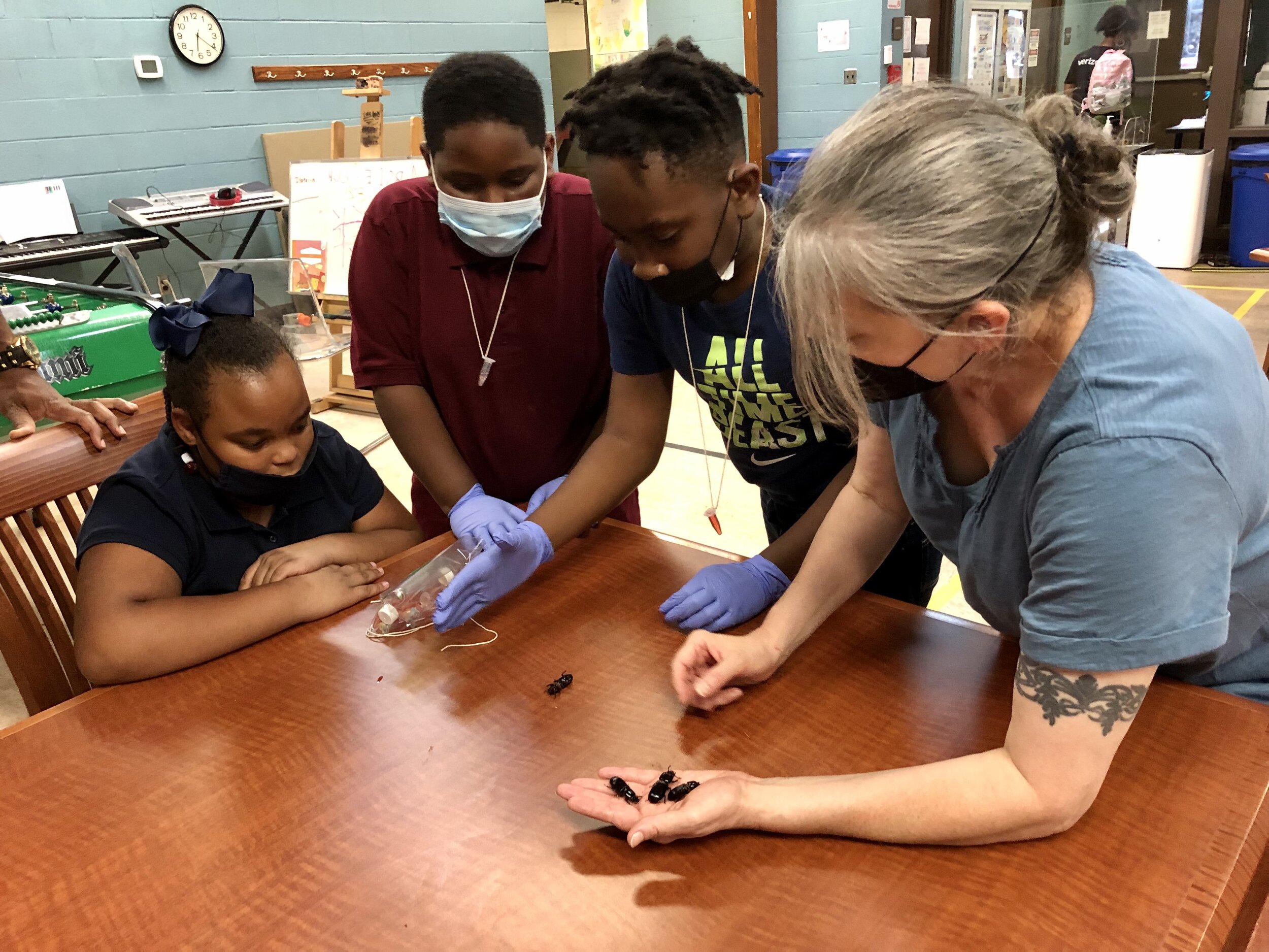 Sept 2021: Strawberry DNA extraction at EAKC 