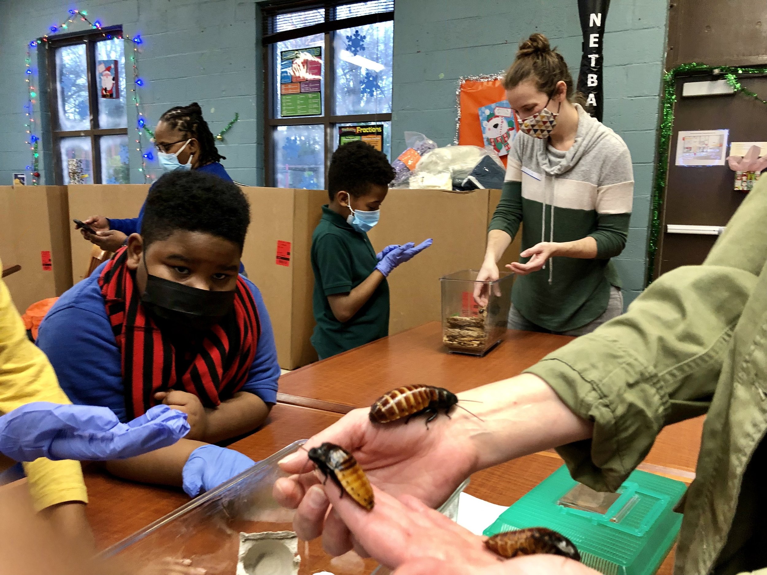 Leila helps students hold the short-horned stag beetles
