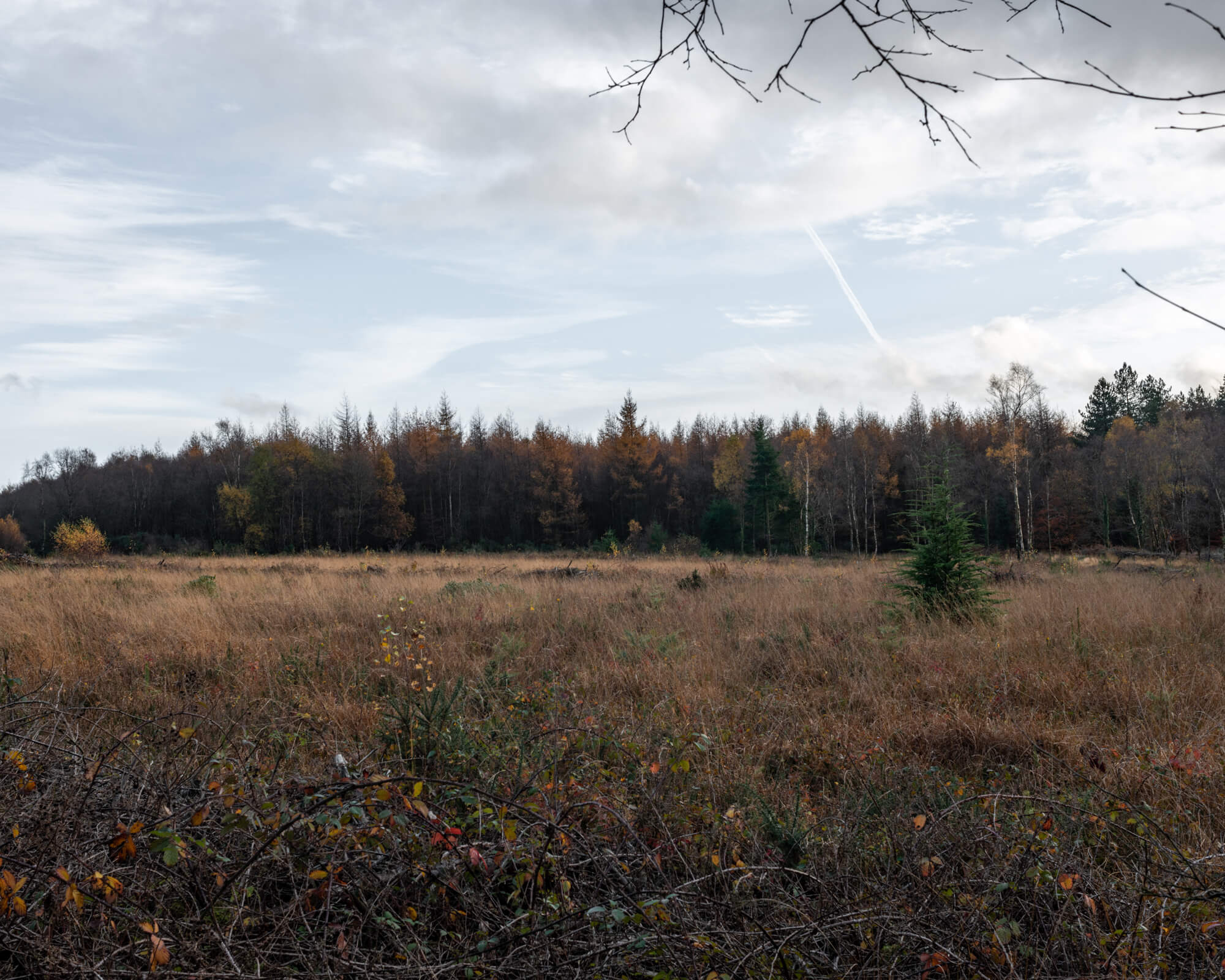 DSC_6750.jpg