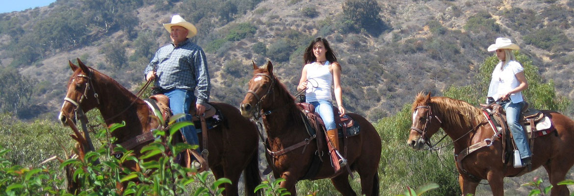 lg-horseback.jpeg
