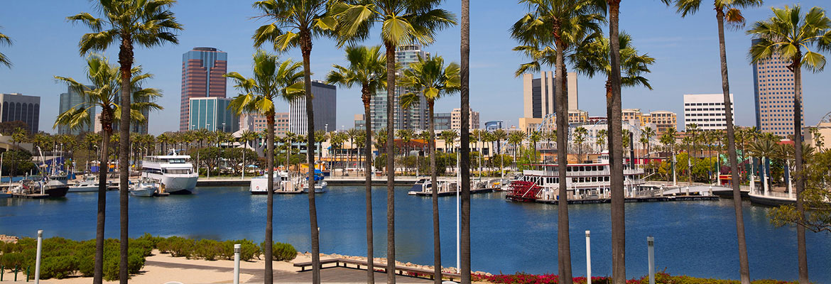 lg-laharbor.jpeg