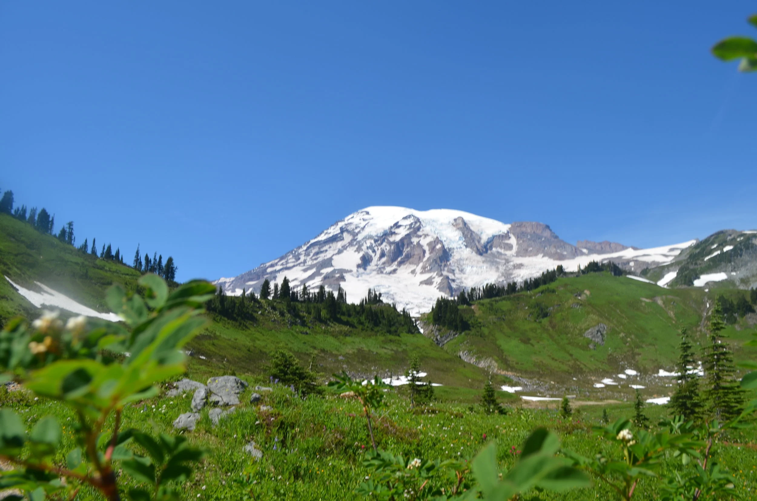 Mt.Rainier 1.JPEG
