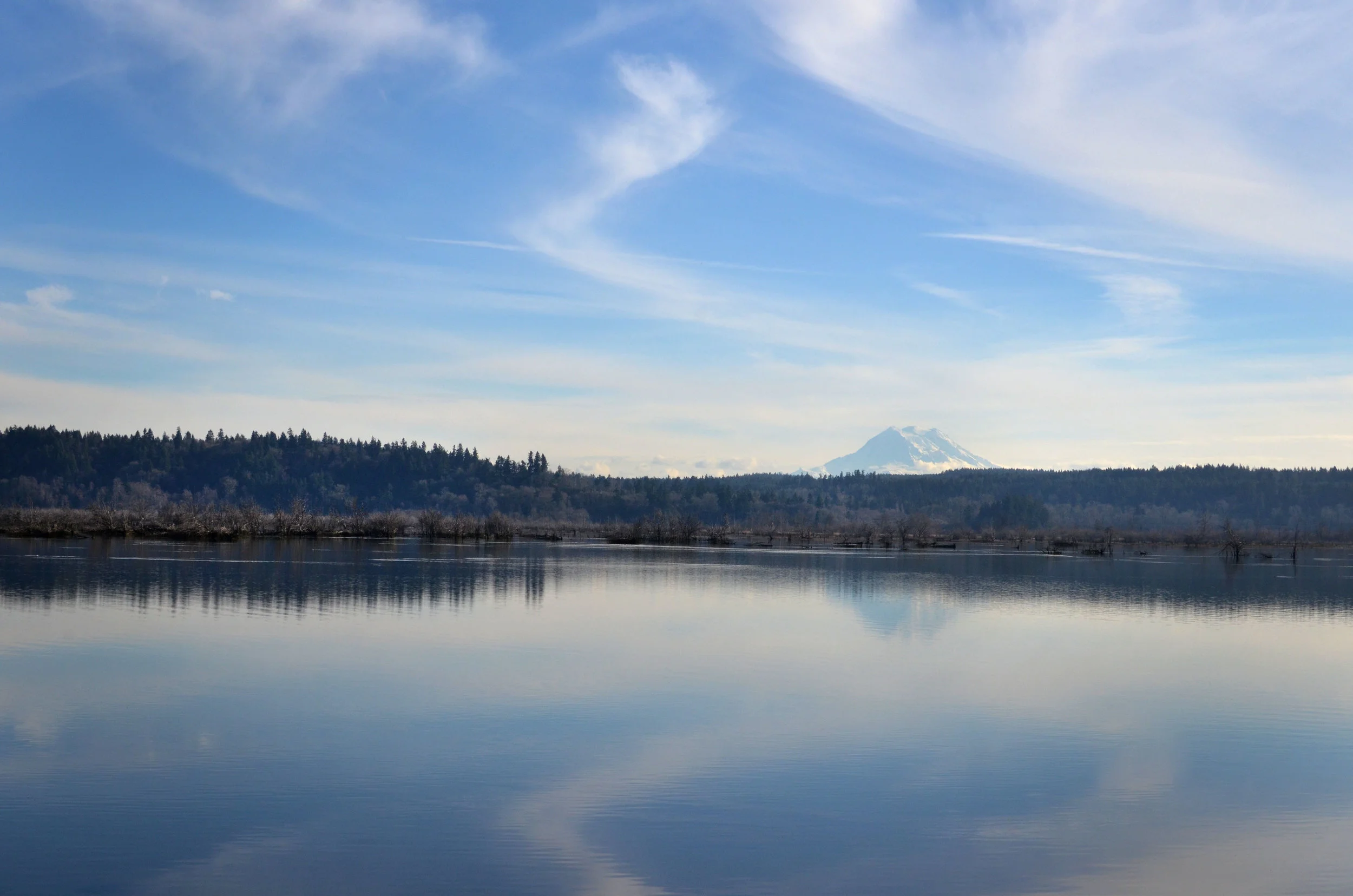 Nisqually 1.jpg