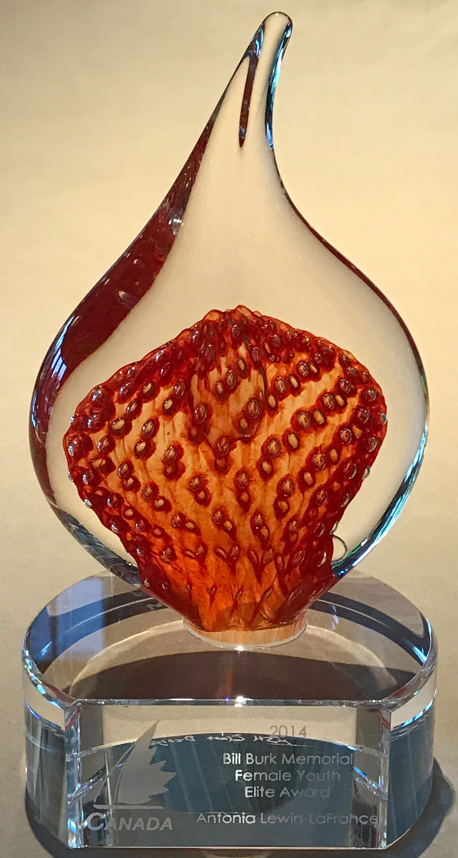 SAIL CANADA – Bill Burk Youth Elite Memorial Award for sailing achievements in 2014 (February 2015)