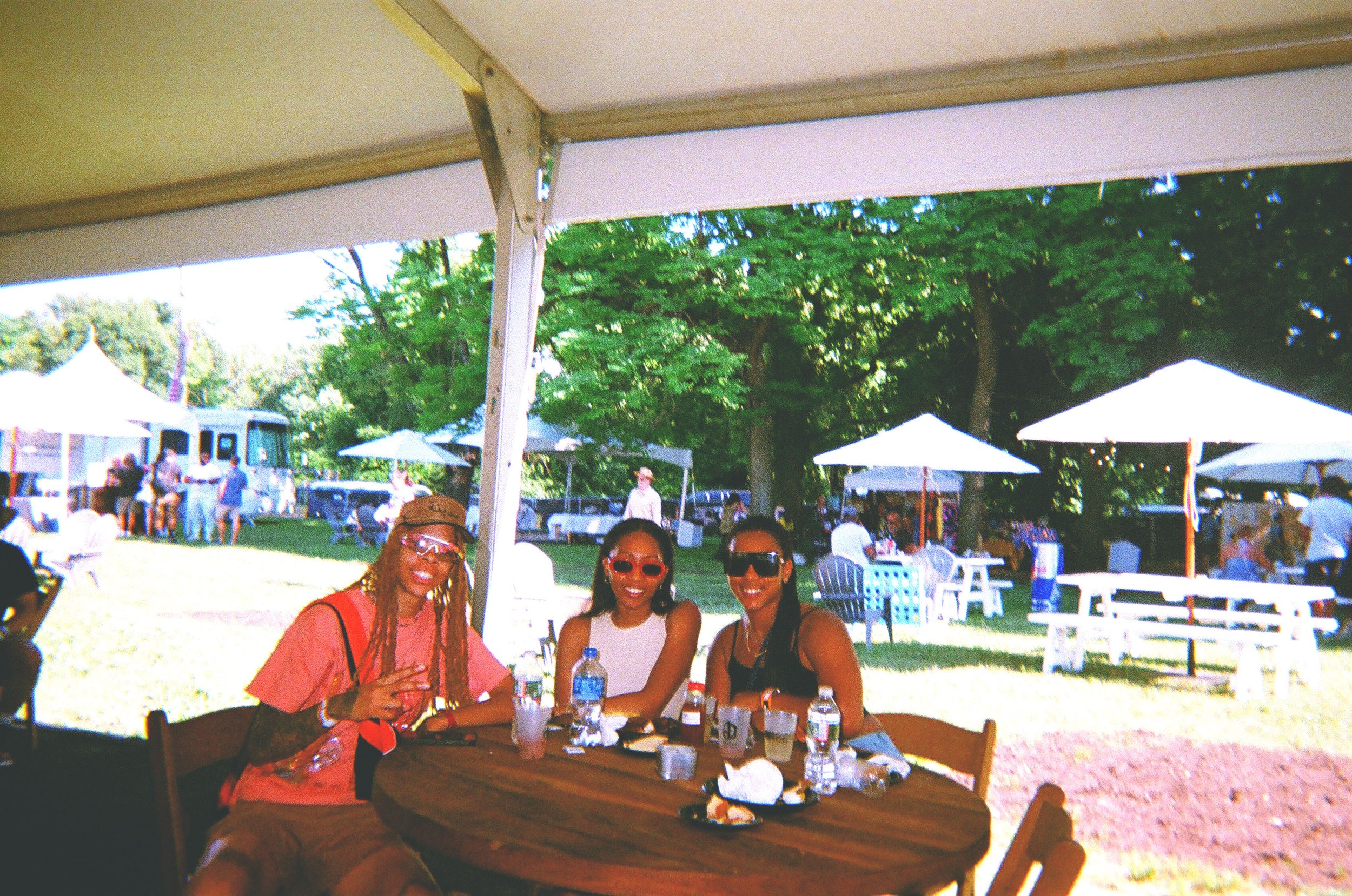 Roots-Picnic-X-Diary-of-Disposables-7.jpg