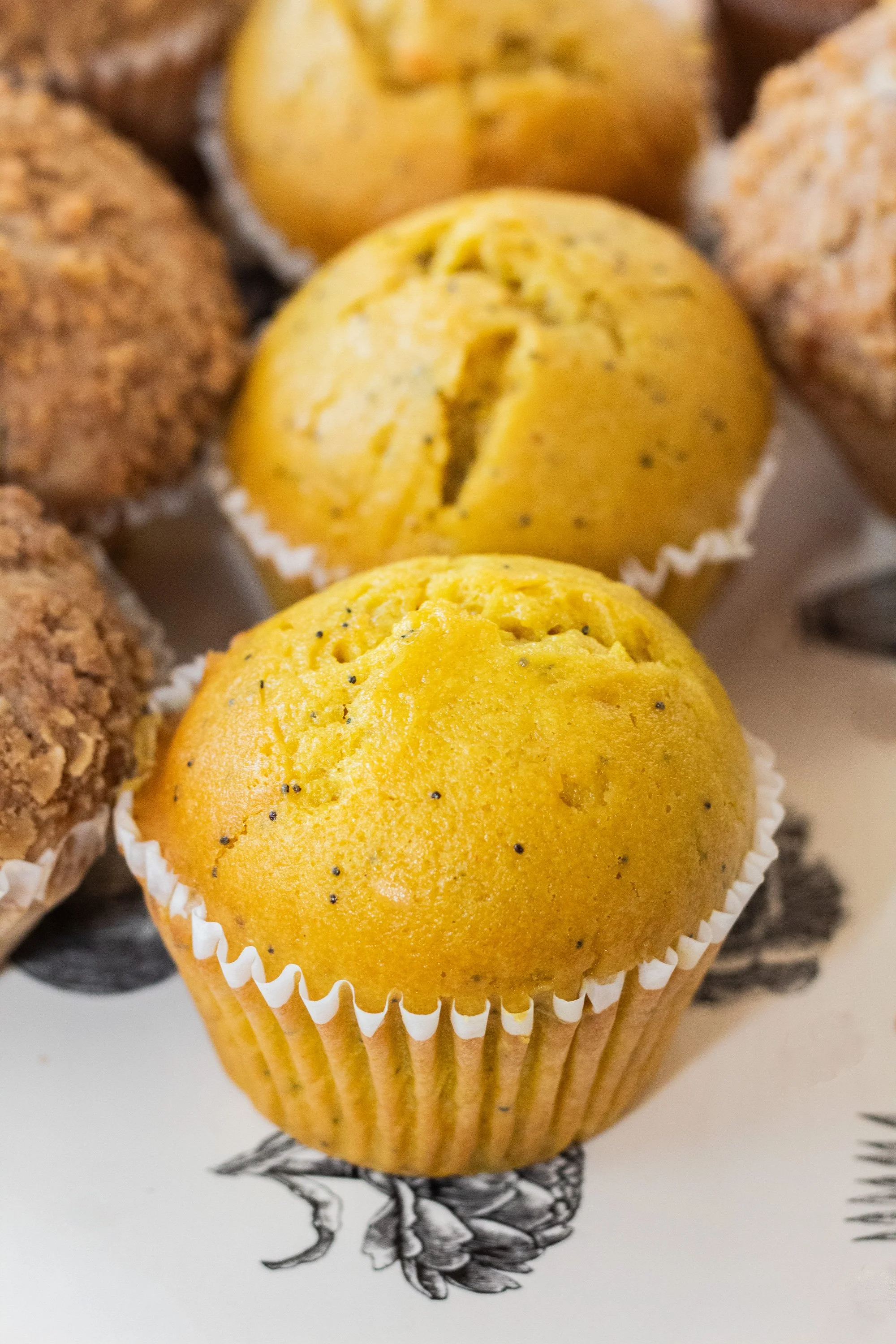 brewerytown-bakery-photo-10.jpg