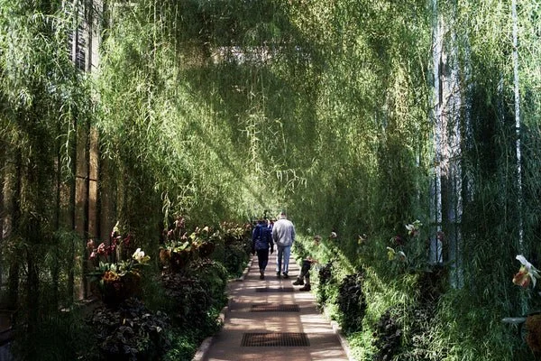 Photolounge Member Spotlight